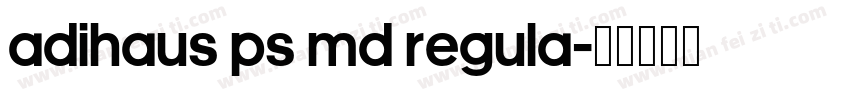 AdiHaus PS Md Regula字体转换